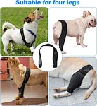 Rear leg brace for dogs
