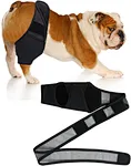 Dog Knee Brace for Torn ACL Hind Leg, Dog Leg Support Brace Breathable Dog Back Leg or Rear Leg Protector, Dog Leg Brace for Better Recovery Dog ACL Brace Hind Leg Adjustable Pet Knee Brace (S)