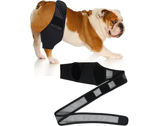 This dog knee brace for torn acl hind leg by increasing the temperature of the joint, the joint protection helps to reduce inflammation and pain caused by ligament injuries, osteoarthritis, and knee bone issues.