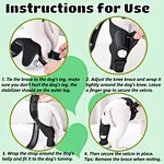 Rear leg brace for dogs