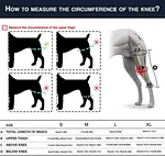 Best dog knee brace for torn acl
